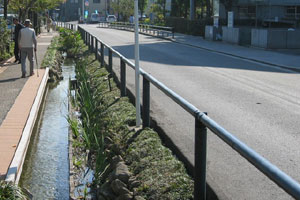 �܂��Â���E�����h�X�P�[�v�u�������[�J�[�̈ɓ��S�H�Ƌ����J���v