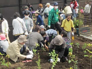 ���̂��̐X