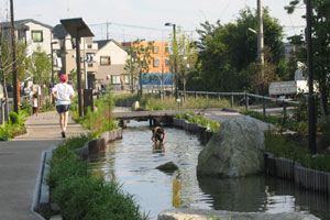 ���R�΂Ƃ�������̖�