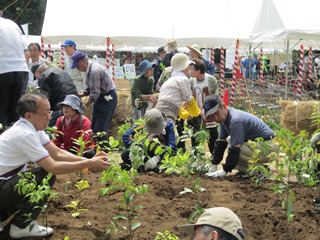 ���̂��̐X