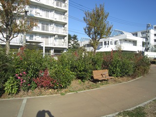 ���̂��̐X