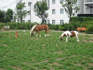 �N���[�o�[�̐A���t��