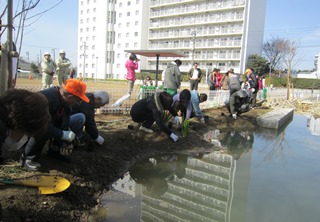 �r�I�g�[�v�Â���