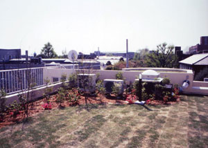 �낢���肪�D���ȉ��l�̂��߂�