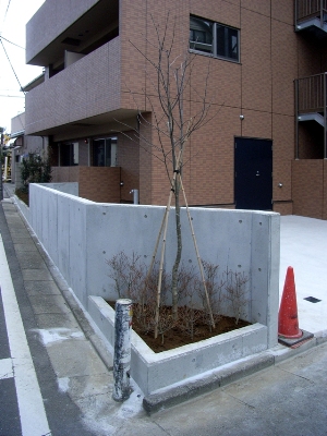 �����A�N�Z���g