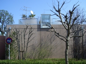 ���C�u�s�A������W�