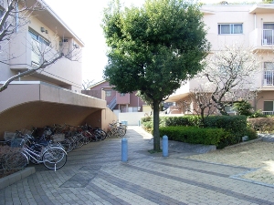 ���C�u�s�A������