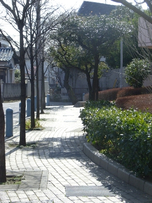 ���C�u�s�A������������n