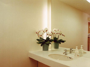 ���Ȉ�@�݌v�u�ԃC�X�ł����p�\�v