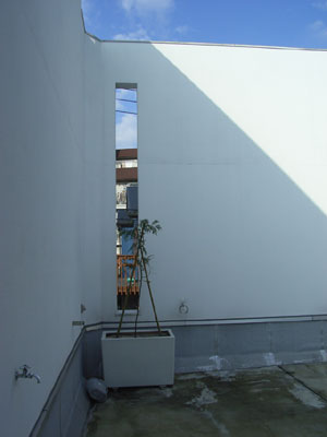 ���̑��̌��z�v���1